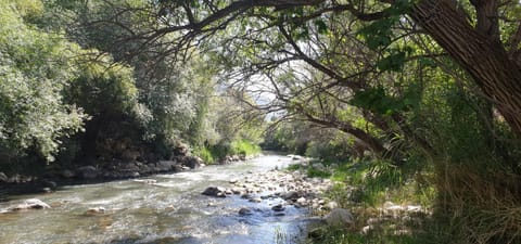 Natural landscape, River view