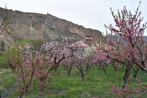 Spring, Garden, Garden view, Mountain view