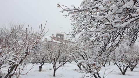 Winter, Garden