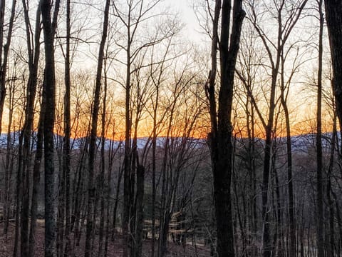 View (from property/room), Sunset