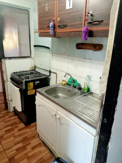 Kitchen or kitchenette, dishwasher, pet friendly, stove