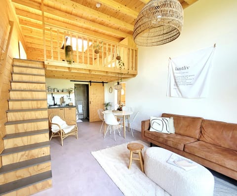 Living room, Seating area, kitchen