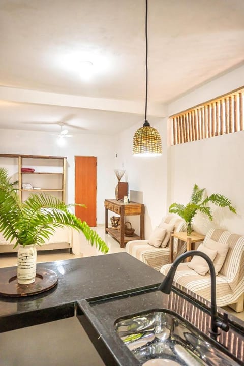 Casa Ravenala Apartment in Trancoso