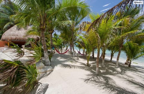 Mansion Villa in Soliman Bay for 34 guests! House in State of Quintana Roo