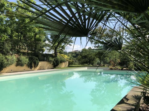 Day, Natural landscape, Garden, Garden view, Pool view, Swimming pool