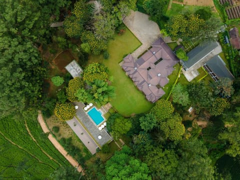 Property building, Bird's eye view