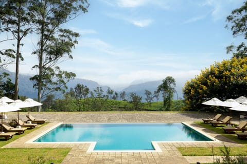 Pool view, Swimming pool