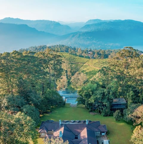 Property building, Bird's eye view