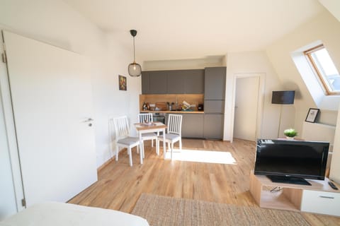 FULL HOUSE Studios - The Buffalo Apartment - WiFi Condo in Zwickau