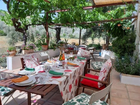 FINCA LOS MELEROS Andalucian farmhouse set in its own land with beautiful terraces, garden & pool. Villa in Sierra de Cádiz