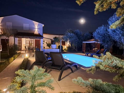 Patio, Night, Natural landscape, Garden, Pool view, Swimming pool, sunbed