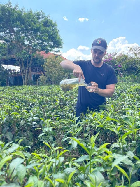 Tea Garden House Nature lodge in Lâm Đồng