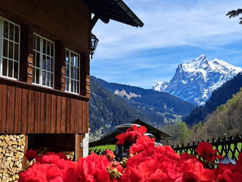 View (from property/room), Mountain view