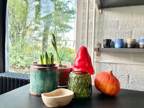 Zuid Limburg Huisje Josefien House in Aachen