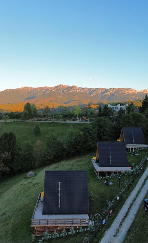 CABANA 365 Campground/ 
RV Resort in Brașov County