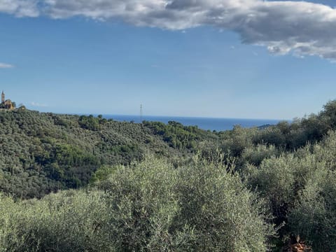 Sea view