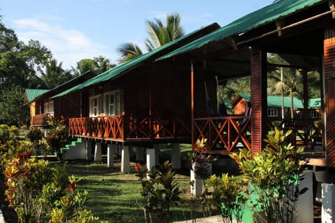 Misahualli Amazon Lodge Nature lodge in Napo, Ecuador