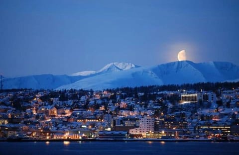 Polar Arctic View - Free Parking! Apartment in Tromso