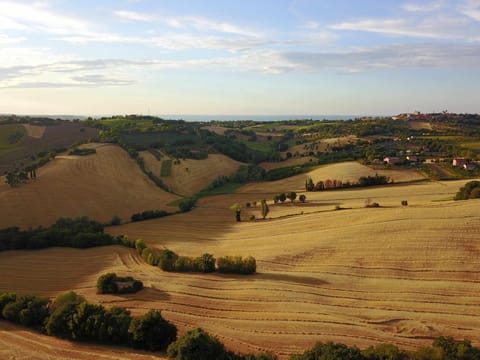 La meriggia Agriturismo- Ampio appartamento con terrazza esclusiva Apartment in Senigallia