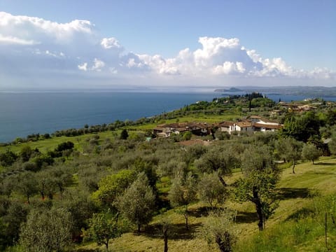 Natural landscape, Balcony/Terrace, Lake view