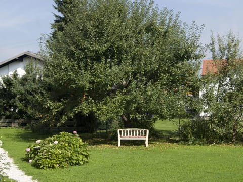 Day, Garden