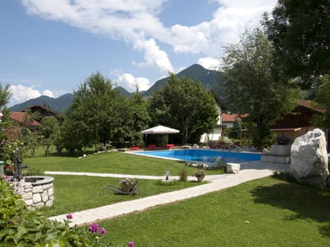 Day, Garden, Swimming pool