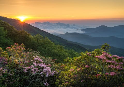 Asheville Black Mountain Escape House in Buncombe County