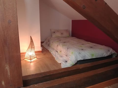 2 chambres privées au calme à la Maison des Bambous Bed and Breakfast in Dijon