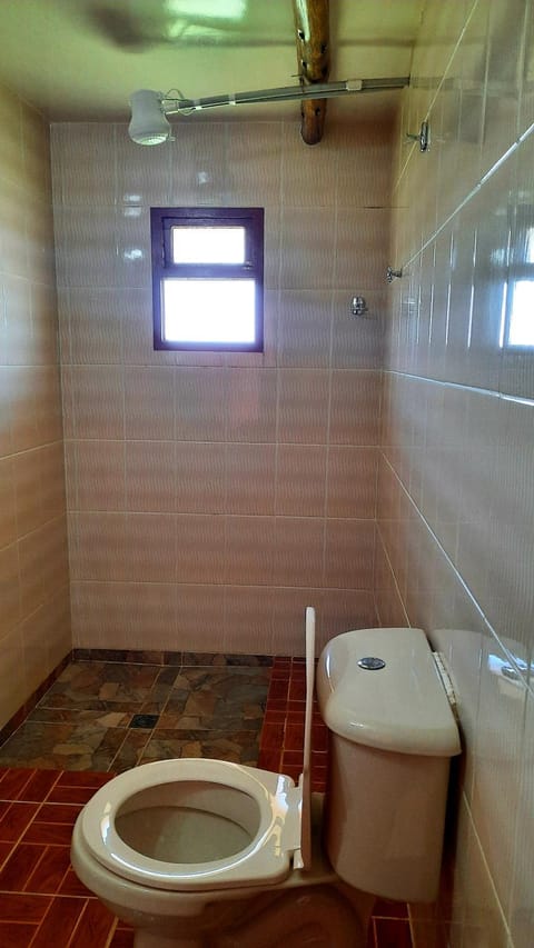 Shower, Toilet