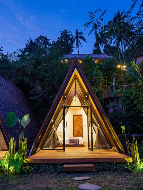 Property building, Night, Garden view