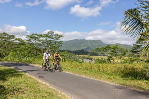 Spring, Day, People, Natural landscape, Cycling, Mountain view