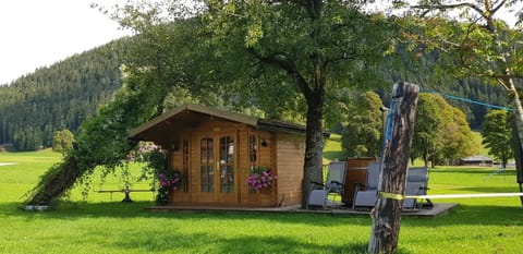 Winter, Summer, Sauna, Mountain view