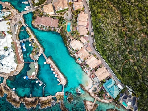 Curacao Luxury Holiday Rentals Condo in Willemstad