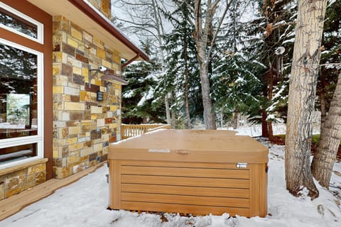 Snowmass Sanctuary House in Snowmass Village