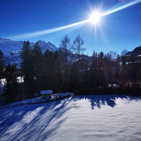 Ferienwohnung Crea Condo in Adelboden