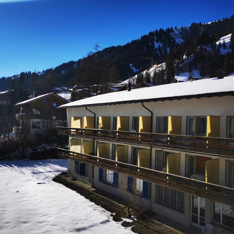 Ferienwohnung Crea Apartment in Adelboden