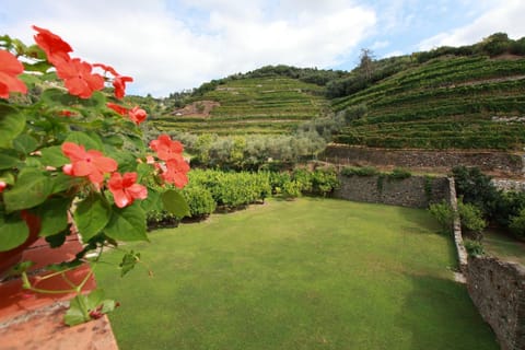 Day, Garden, Garden