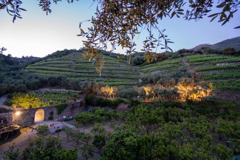 Agriturismo Buranco Farm Stay in Monterosso al Mare