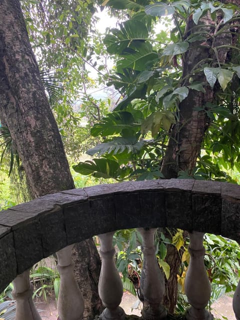 View (from property/room), Balcony/Terrace