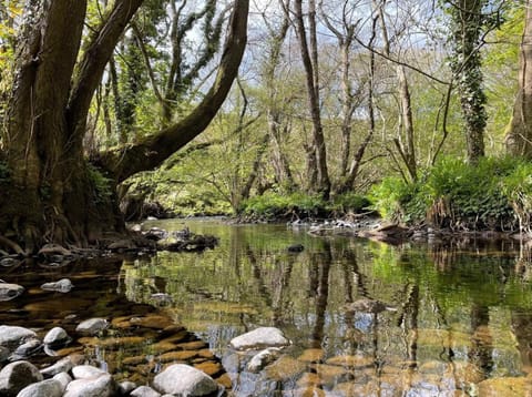 Holiday Cabin Sleeps 5 Glan Gwna Holiday Park Cabin in Wales