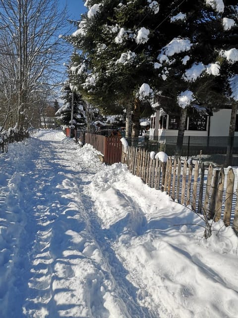 Day, Natural landscape, Winter