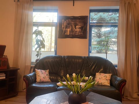 Living room, Lounge or bar, Seating area