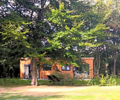 Property building, Day, Garden, Garden view