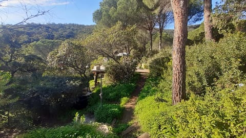 Massacan-Vue Mer Pensão in Le Lavandou