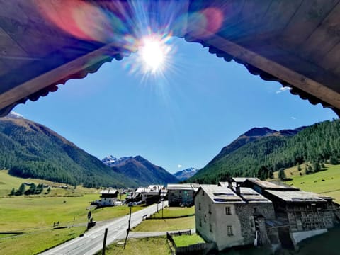 Baita Bruno - App Simone Apartment in Canton of Grisons