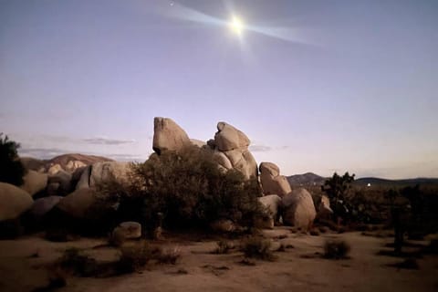 The Way Out Ranch. Escape to Solitude on 2.5 acres House in Joshua Tree