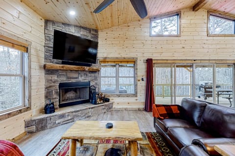 Cozy Bear Cabin #2 House in Sautee Nacoochee