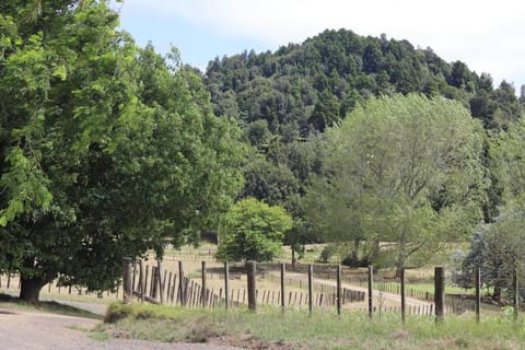 Tui Ridge Cottage House in Waikato