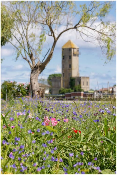 Appartamento Alla Torre 162 Villa in Cavallino-Treporti