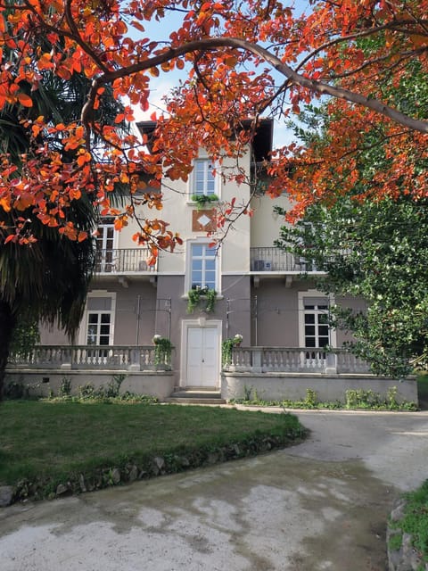 Property building, Facade/entrance, Garden